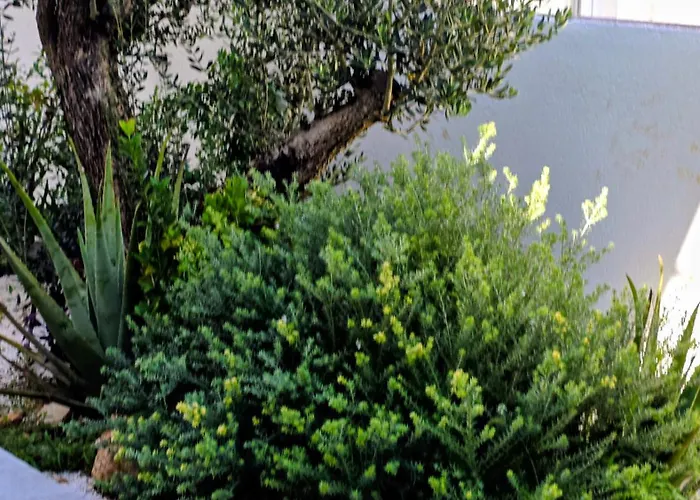 Villa De Luxe Palace Al Nera 2 Swimming Pools At Sea *